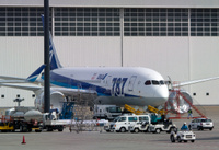 ANA_grounded_787