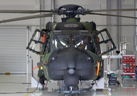 NH90_FOC_1