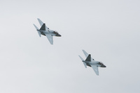 original_M_346LAVI_gallery_2