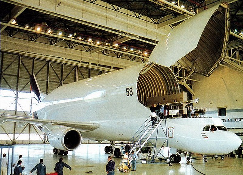 beluga_helsinkivantaa