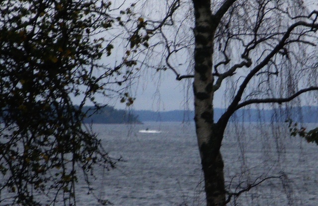 havainto_rajattu_forsvarsmakten