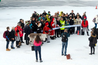 Germania_nahan_leikkaus