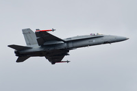 Utti_2017_Hornet