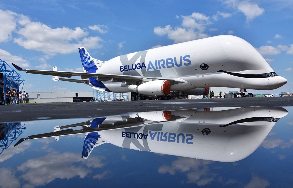 BelugaXL_painted_1