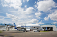 BelugaXL_painted_2