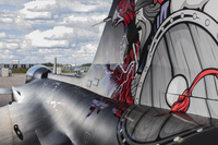 Aggressor