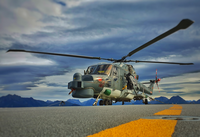 GermanNavy_Lynx