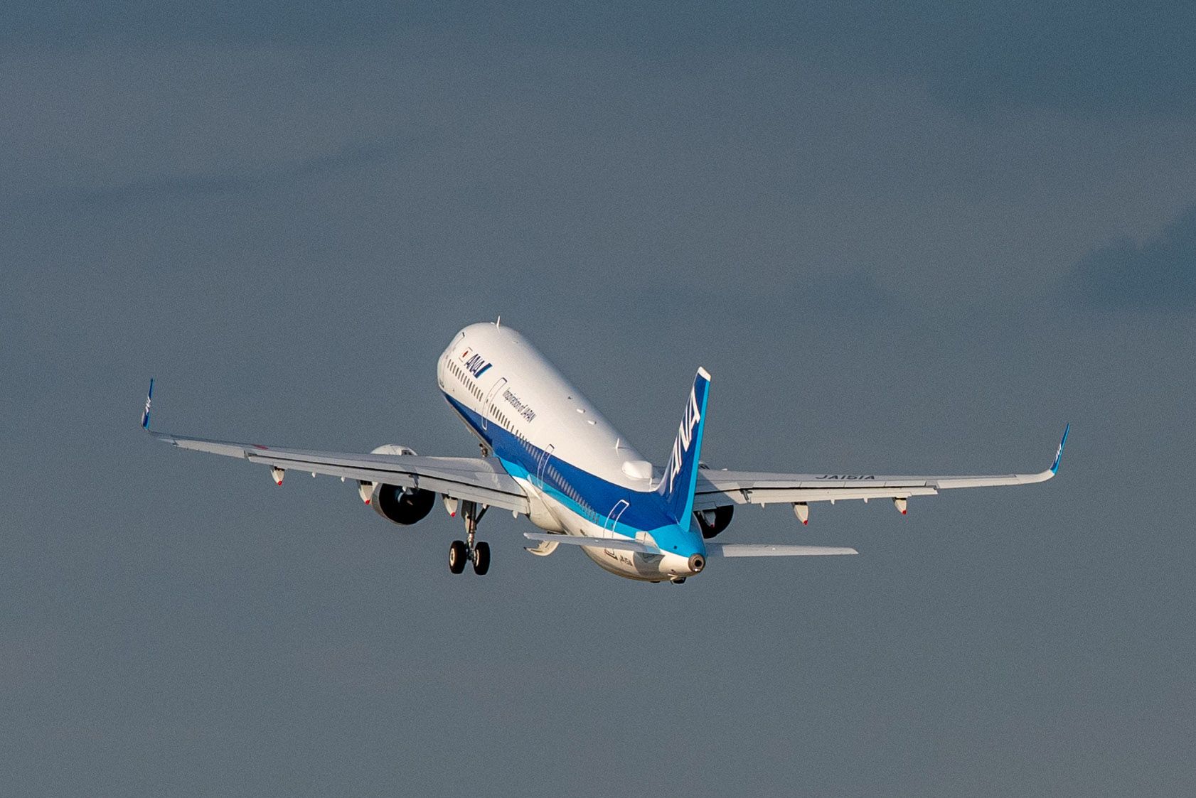 ANA A321neo