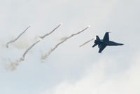 Hornet_270822