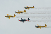 Team 50_270822