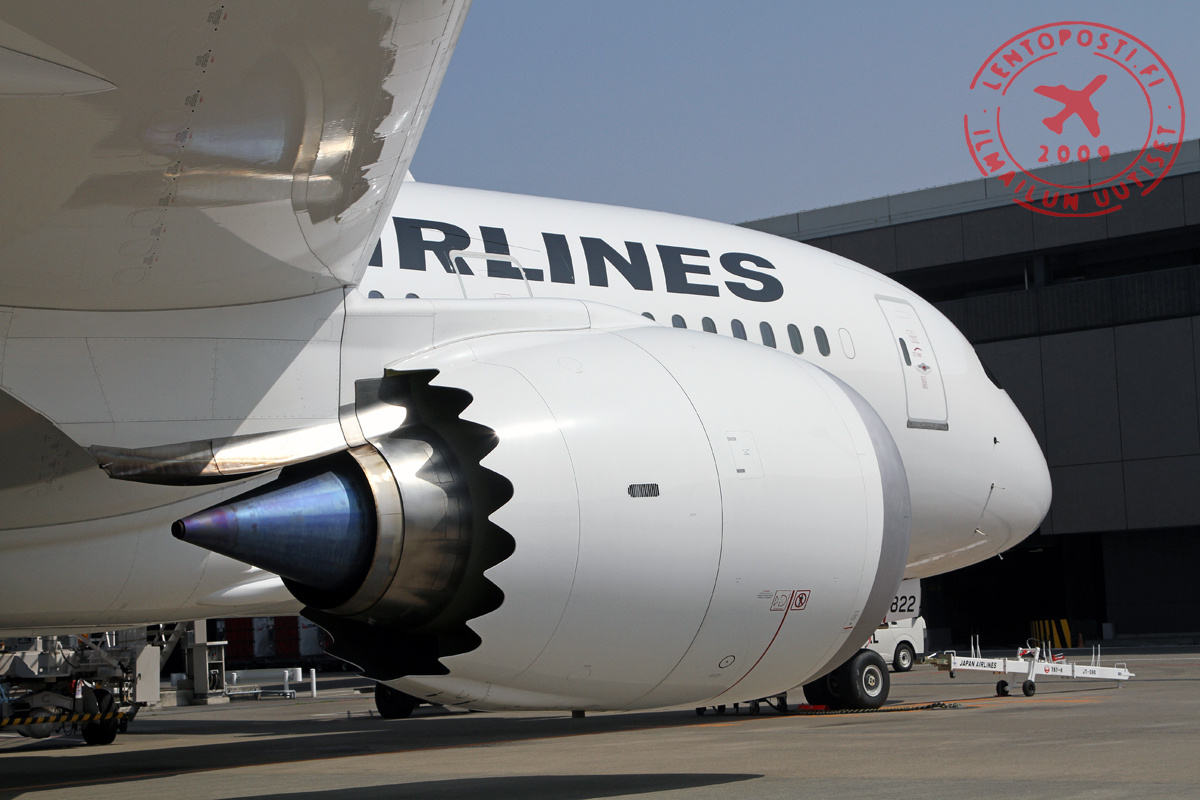 JAL_Dreamliner_8
