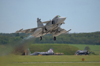 Tshekki_Gripen_1