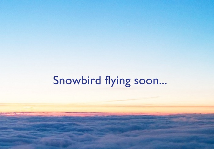 snowbird