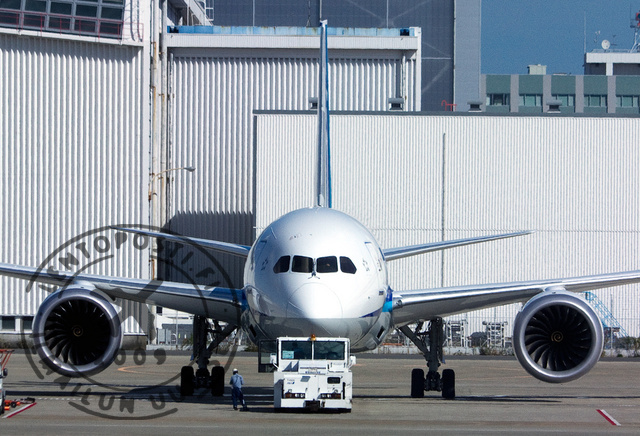 ANA_Dreamliner_2