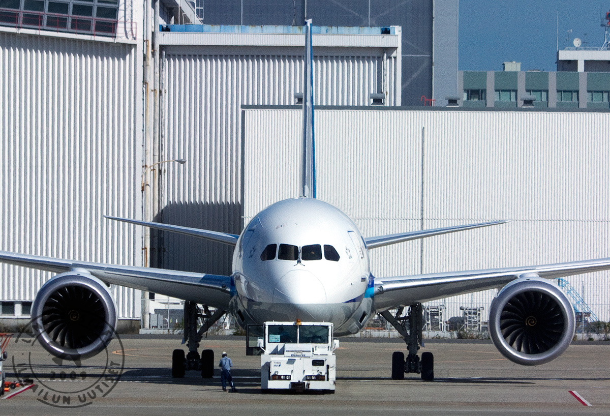 ANA_Dreamliner_2
