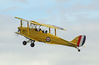 TigerMoth