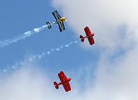 ArcticEagles_3