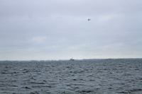 FW_Pilatus