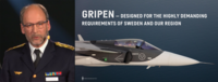 SWC_Persson_2