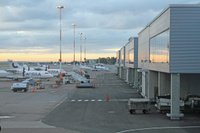 T1_norrat