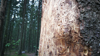 IMG_20200519_163155
