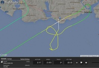 turkish_goaround_flightradar24