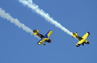 SU_FIAS_wasp_1
