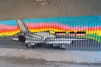 Graffiti 6 Hawk