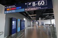T1_gate8_view