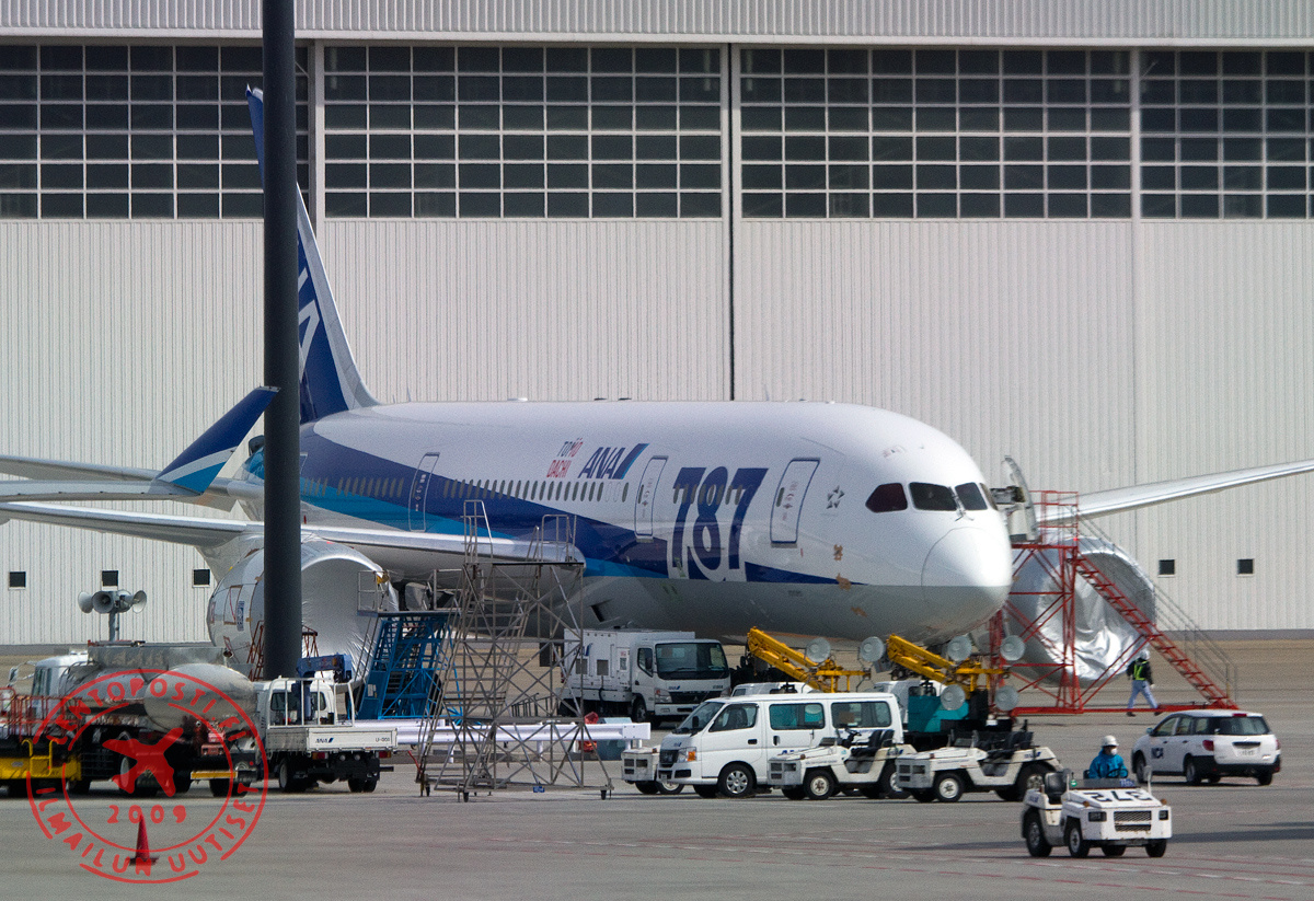 ANA_grounded_787