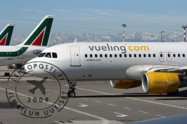 Vueling_nose
