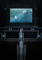 Art_Cinema_1