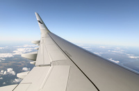 Sharklet_wing_1
