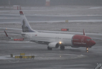 Norwegian_in_snow_1