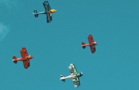 Arctic_Eagles_4_1