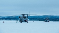 coldblade9net_maavoimat
