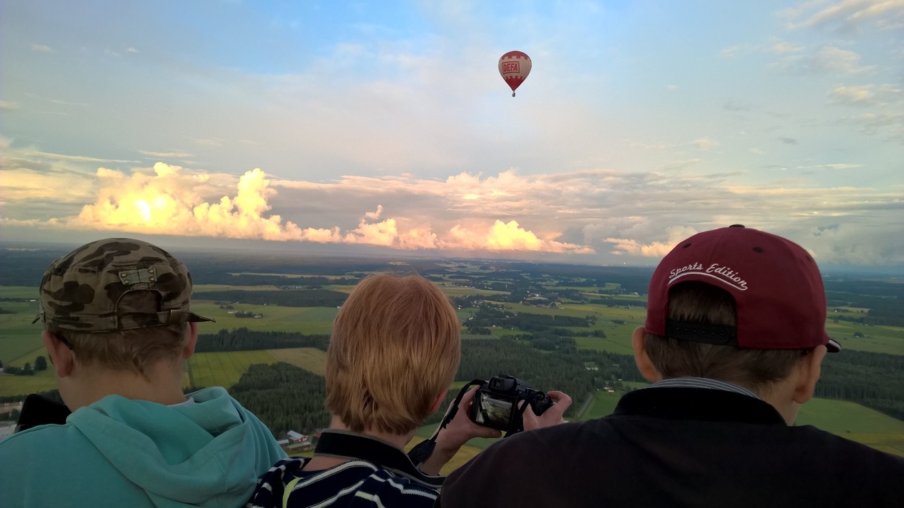 MAF_suomi_peltilintu_1