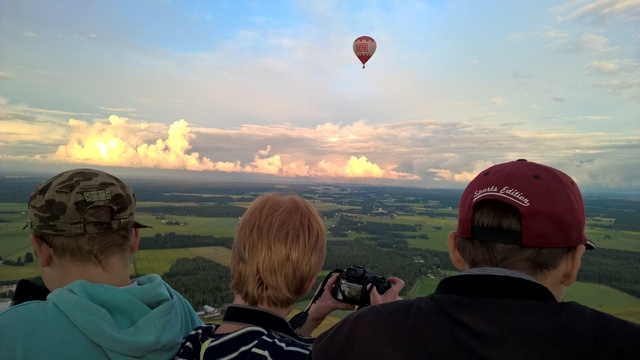 MAF_suomi_peltilintu_1