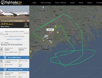 JAL_divert_0118