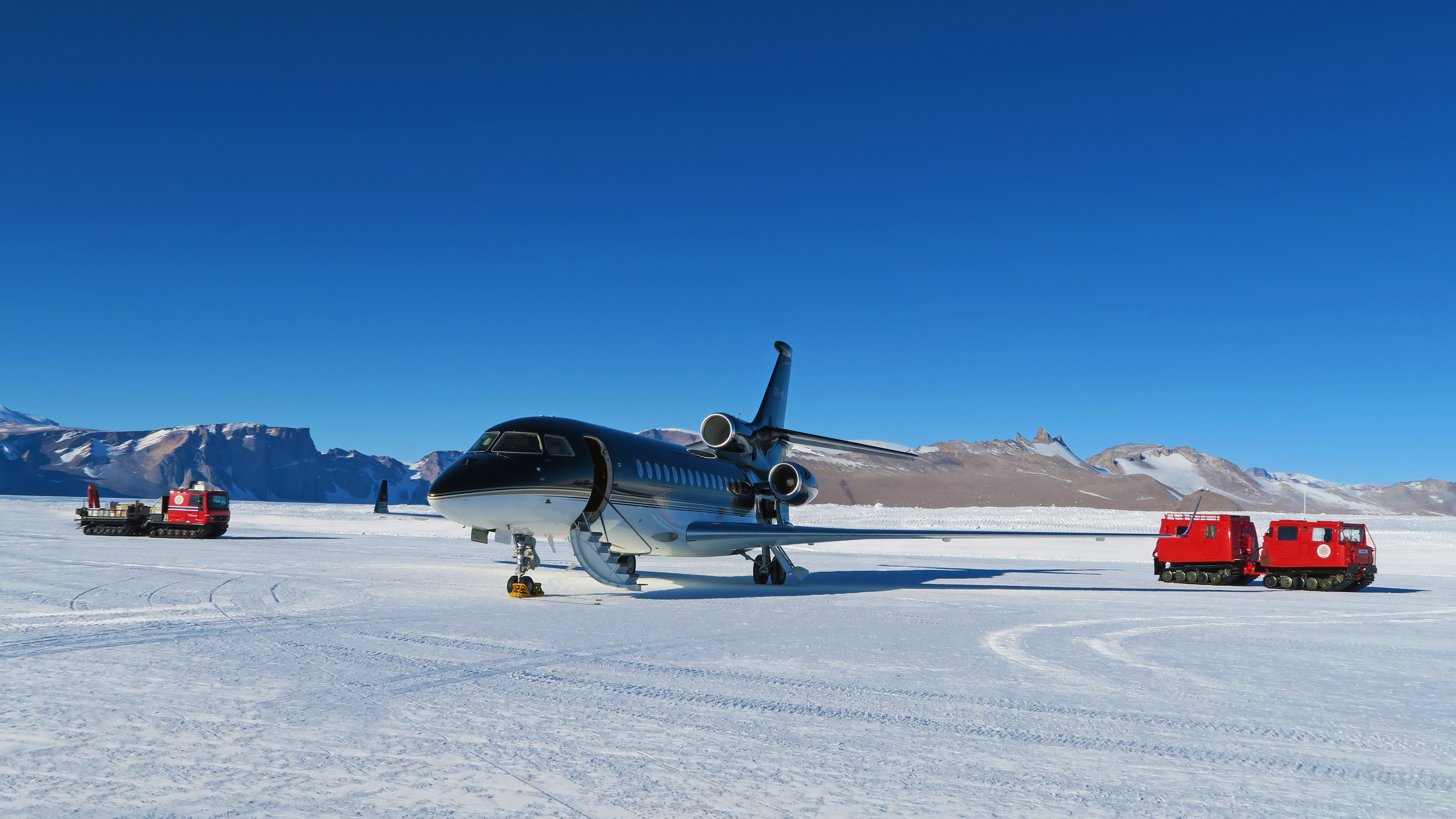 Antarctica_Falcon