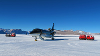 Antarctica_Falcon