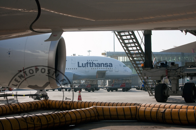 Lufthansa_at_gate
