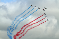 PAF_8
