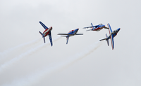 PAF_nelikko