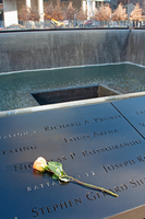 WTC6