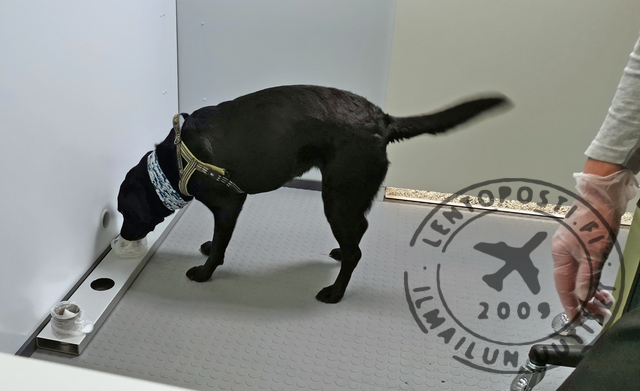 koronakoiranuuhkii_1