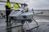 Skeldar_kannella_1_Raja