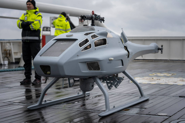 Skeldar_kannella_1_Raja