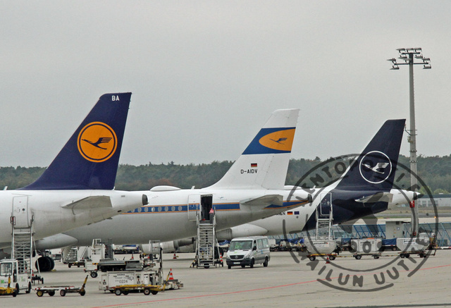 Lufthansa_tails_2022