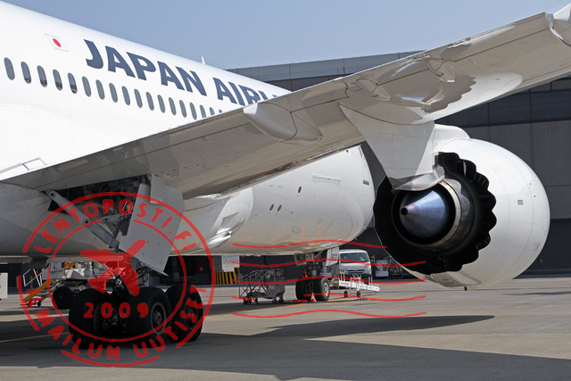 JAL_Dreamliner_9